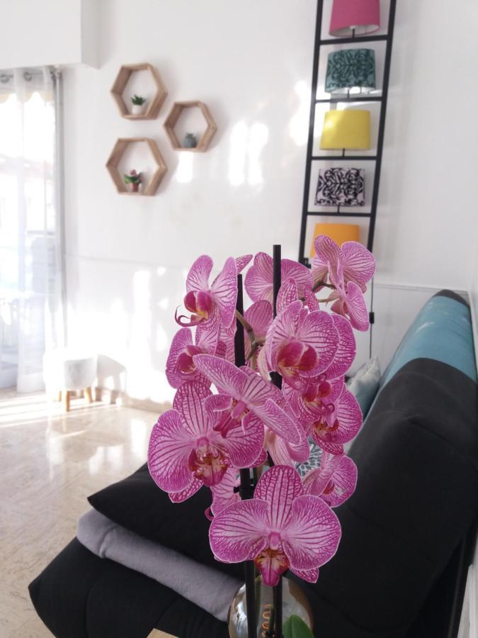 Raffine Apartamento Cannes