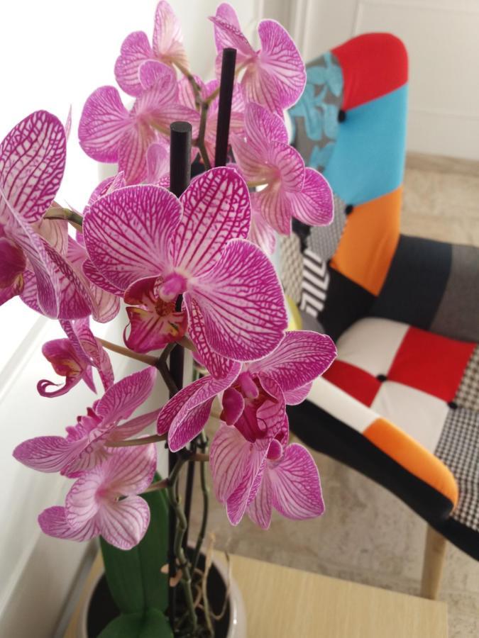 Raffine Apartamento
