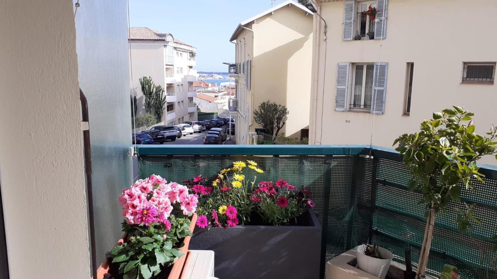 Raffine * Cannes