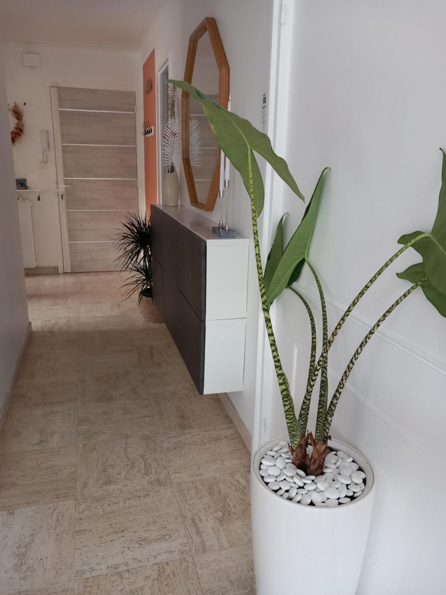 Raffine Apartamento *